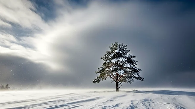 Blizzard Warnings Issued for East Coast as Major Storm Approaches