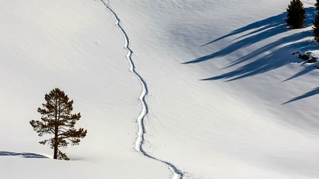 Avalanche Traps Multiple People in Big Cottonwood Canyon, Utah