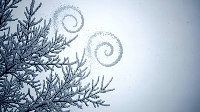 Heavy Snow and Possible Blizzard Conditions Expected in Philadelphia Region