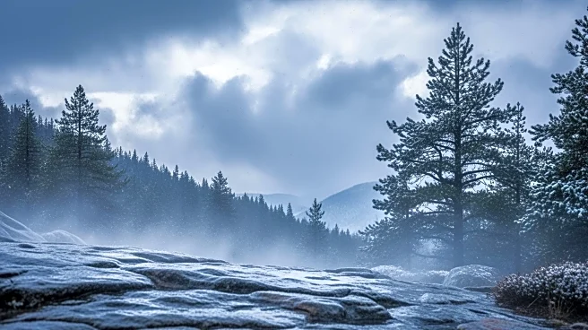 Rainy Weather in Los Angeles Brings Snow to Wrightwood