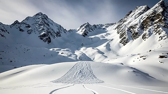 Avalanche Tragedy Strikes California's Sierra Mountains