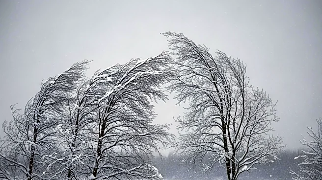 Winter Storm to Bring Snow and Wind to D.C. Area