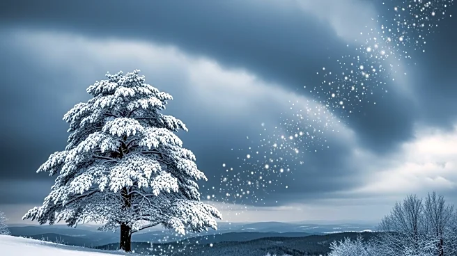 Monster Storm to Bring Heavy Snow to Tri-State Area