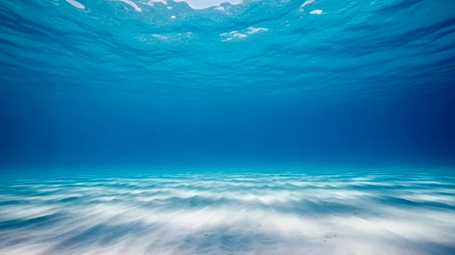 Arctic Blast Transforms West Florida Shelf with Brilliant Blue Waters