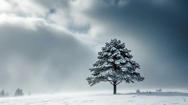 East Coast Braces for Major Blizzard with Up to 2 Feet of Snow