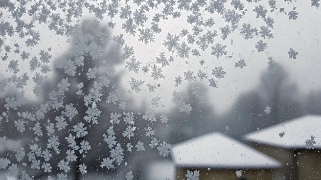 Blizzard Intensifies in Philadelphia Area with Heavy Snowfall