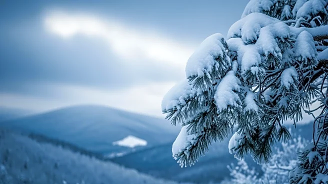 Massachusetts Nor'easter Dumps Record Snowfall Across the State