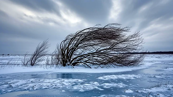 Windy and Cold Conditions Persist in Maryland After Snowstorm