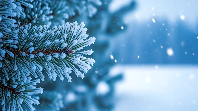 Winter Weather Alerts Issued for Northwest Indiana