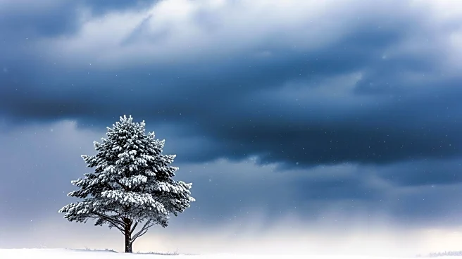 Northeast Braces for More Snow After Historic Bomb Cyclone