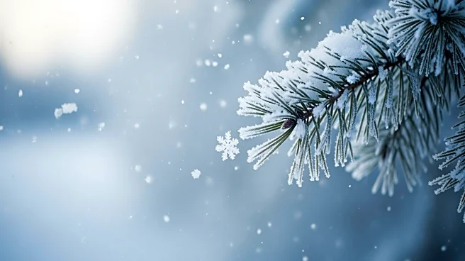 Light Snow and Freezing Mix Expected in Minnesota on Feb. 24, 2026