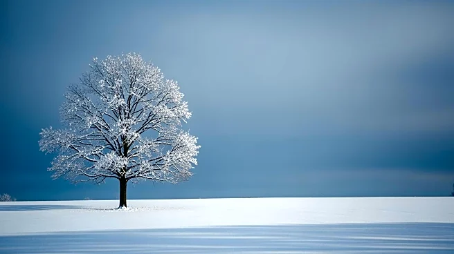 Winter Storm Brings Snow to 14 U.S. States