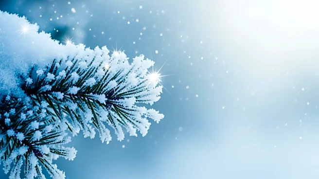 Chilly Weather Expected in Minnesota on February 25, 2026