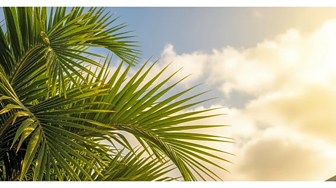 South Florida to Experience Warm Temperatures and Increased Rain Chances