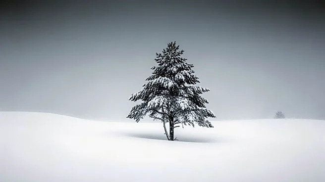 Historic Blizzard of 2026 Buries East Coast in Record Snowfall