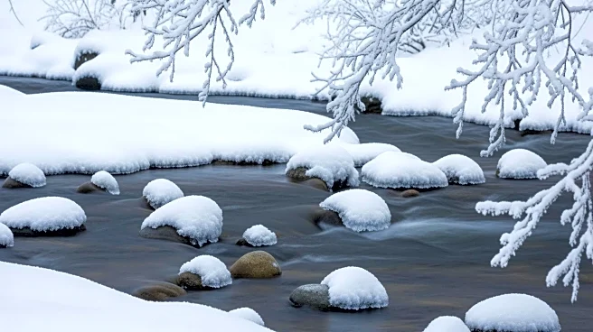 Winter Storm Brings Snow to Maryland, Otters Enjoy Snow Day