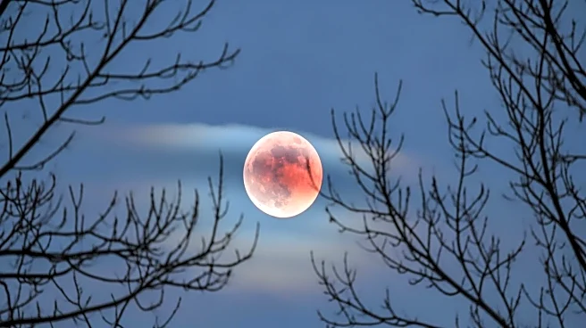 From Blood Moon to Aurora: March’s Must-See Sky Events