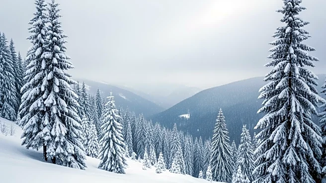 Heavy Snowfall Expected in Washington Cascades Through Friday
