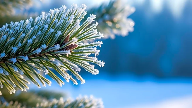 Minnesota Weather Forecast: Cold Conditions Persist