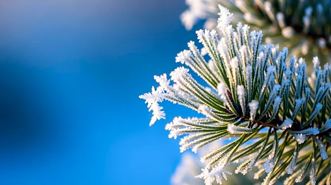 Minnesota Weather Update: Cold Temperatures and Wind Chill Advisory