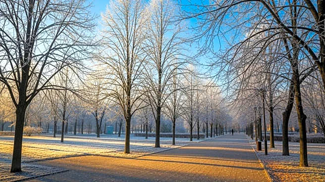 Chilly Weather in New York with Sunny Weekend Start