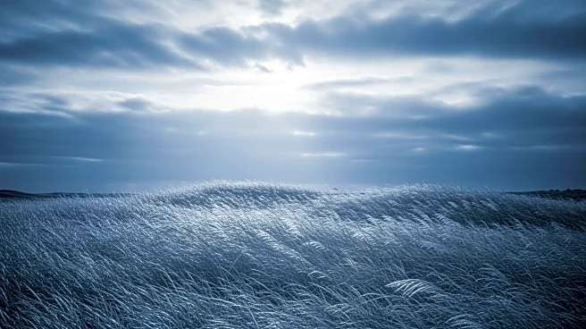 Minnesota Forecast: Wind Gusts and Weather Updates