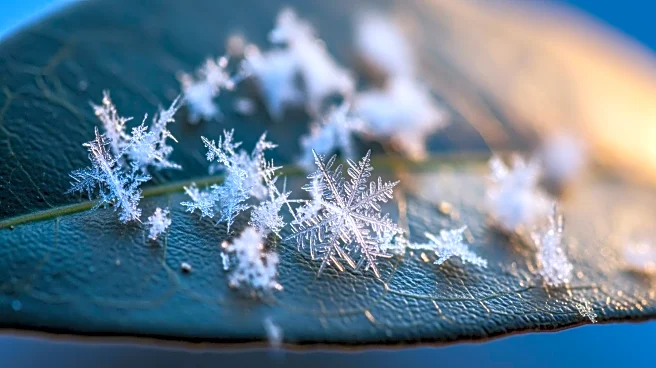 NYC Faces Quick Snowfall Amid Warmer Weather Transition