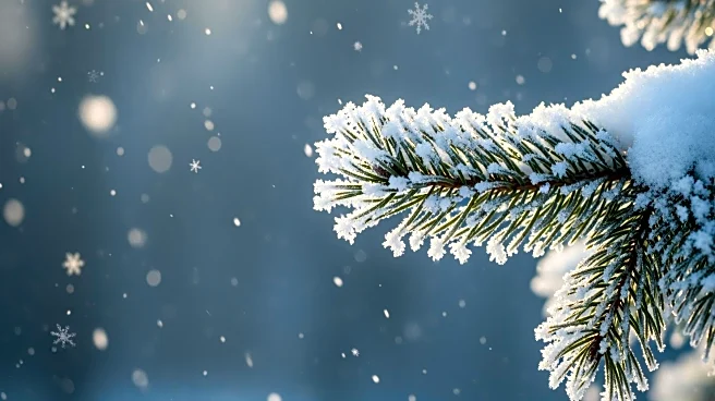 Winter Weather Alerts Across Four States: Up to 10 Inches of Snow Expected