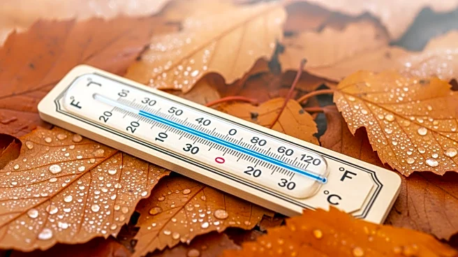 Little Rock Faces High Influenza Activity Amidst Seasonal Weather