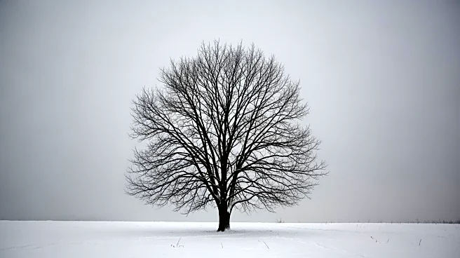 Deadly Winter Storms Claim Over 150 Lives Across the U.S. in February 2026