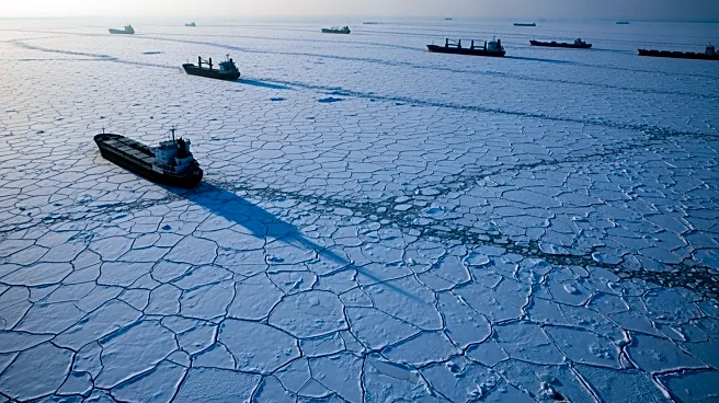 Baltic Sea Faces Worst Ice Conditions in 15 Years, Cargo Ships Stuck