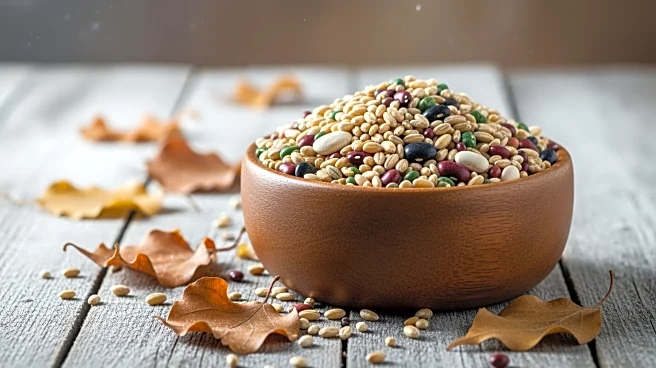 Minnesota Faces Worsening Hunger Crisis Amidst Weather Challenges