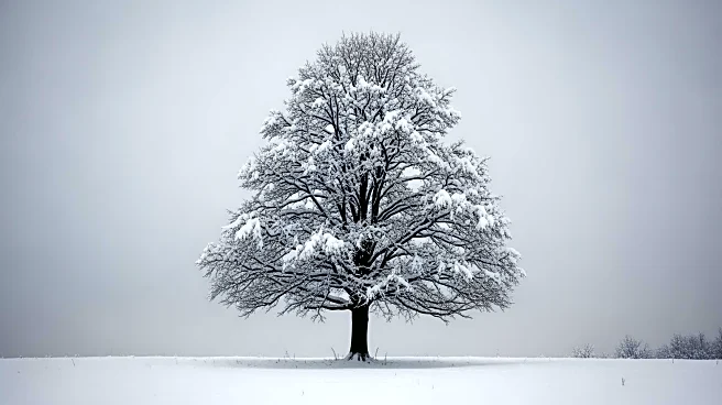 Indiana Faces Severe Winter Storm with Heavy Snowfall Expected