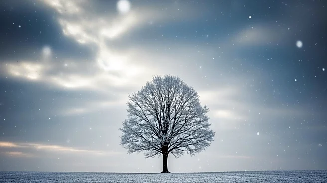 Minnesota Weather Forecast: Cold Front and Snowfall Expected