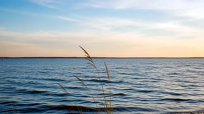 Chesapeake Bay Breezes Bring Mild Weather Conditions