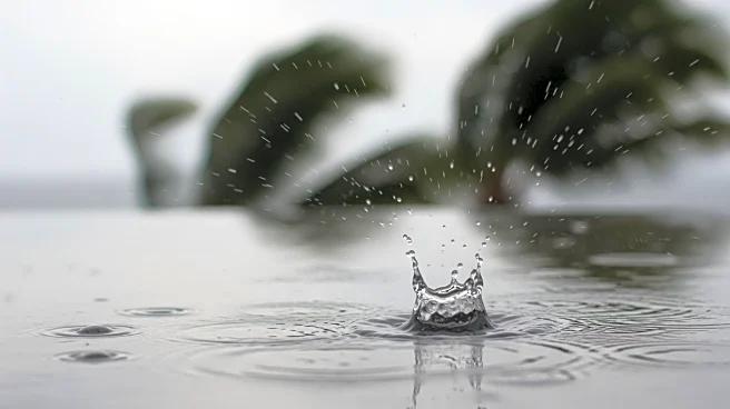 Rain and Breezy Conditions Expected in South Florida This Weekend