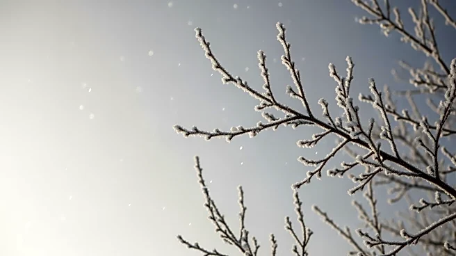 Chicago: Cold Weather Persists with 33°F (1°C) Conditions