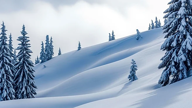 Sierra Snowpack Reaches Record Levels Amid Heavy Winter Storms