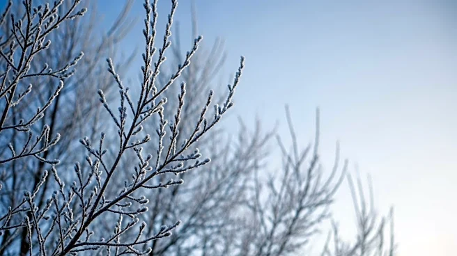 Chilly Start to Meteorological Spring in Pittsburgh