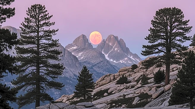 Horsetooth Mountain Open Space Hosts March Blood Moon Viewing