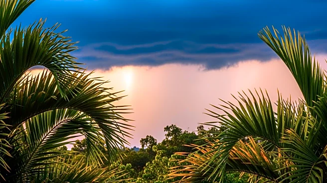 South Florida Faces Rising Temperatures and Increased Rain Chances