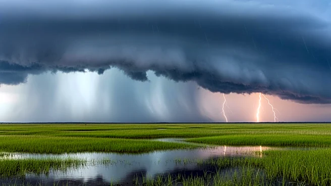 Severe Weather Alert for Louisiana: Heavy Rain and Thunderstorms Expected