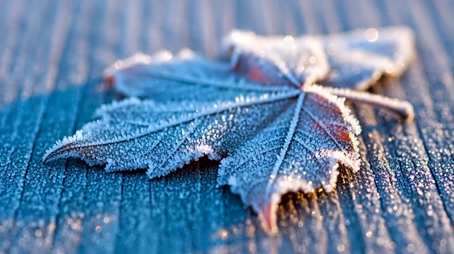 Cold Temperatures Expected in Maryland Before Midweek Warm-Up