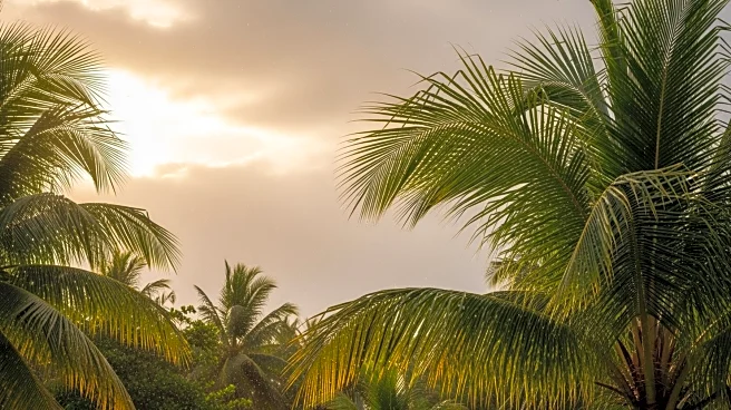 Warm Temperatures and Showers Expected in South Florida This Week