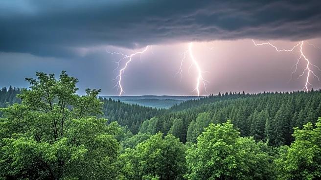 Thunderstorms Provide Relief in Battle Against Big Cypress Wildfire