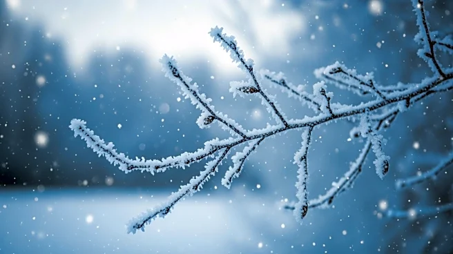 Winter Weather Mix Expected in Harrisonburg, VA Tonight