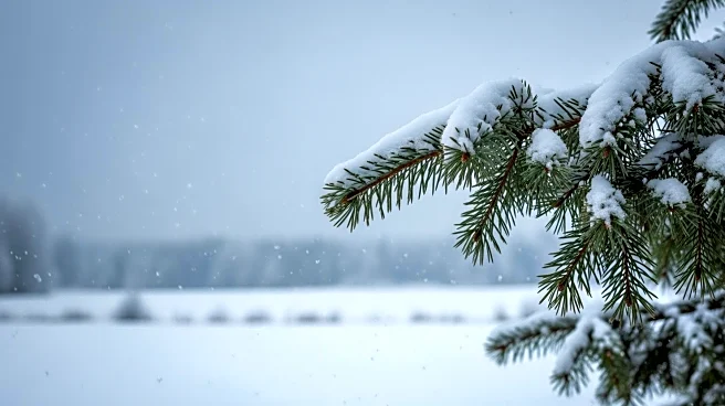 Winter Storm Warnings: Up to 12 Inches of Snow Expected Across Six States