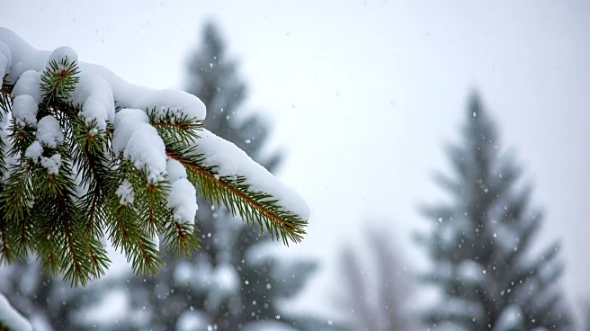 Heavy Snow Expected in Oregon with Up to 10 Inches Forecast