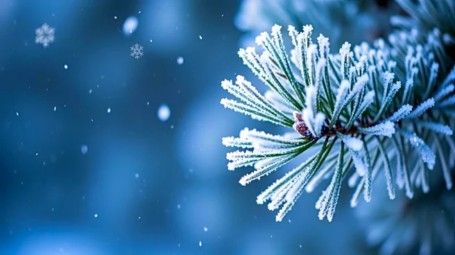 Wintry Mix and Cold Blast Expected in Philadelphia Area