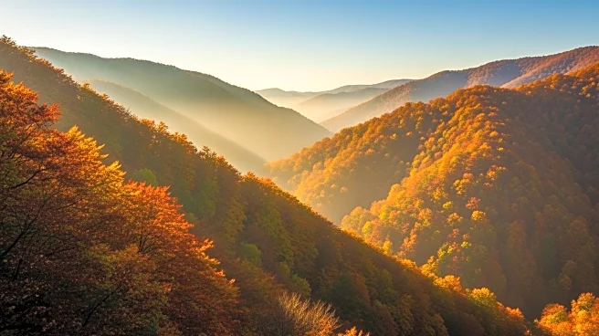 Fall Foliage Peaks in Appalachia: A Vibrant Display Expected